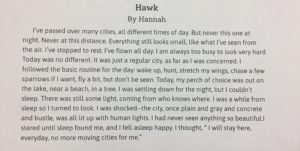 “Hawk” by Hannah